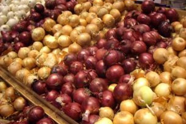 Официальная ссылка на кракен в тор
