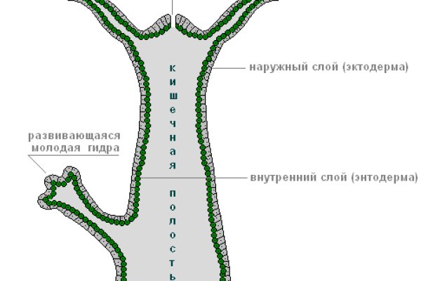 Кракен купить порошок krk market com